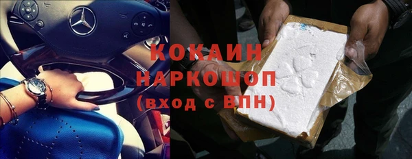 соль ск Богданович