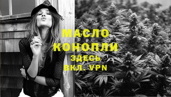 соль ск Богданович