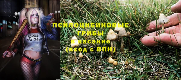 СК Богородицк