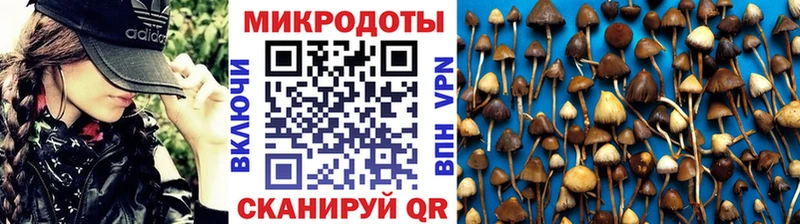 Галлюциногенные грибы прущие грибы  где купить наркоту  Яровое 